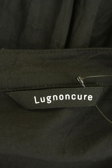 Te chichi（テチチ）の古着「Lugnoncure シアーブラウス（ブラウス）」大画像６へ