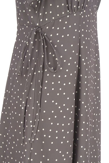 PROPORTION BODY DRESSING（プロポーションボディ ドレッシング）の古着「ドットロングシフォンワンピース（ワンピース・チュニック）」大画像４へ