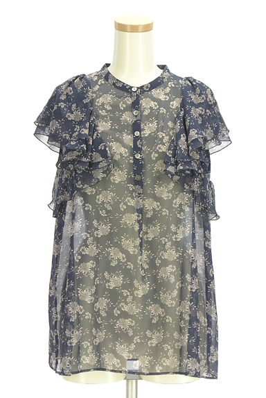 ANAYI（アナイ）の古着「花柄シアーブラウス（カットソー・プルオーバー）」大画像１へ
