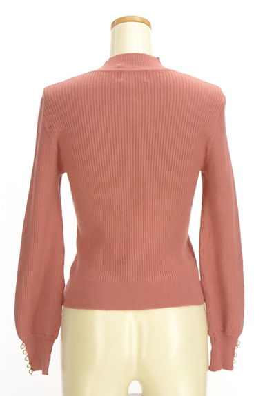 JILL by JILLSTUART（ジルバイジルスチュアート）の古着「パール付きモックネックリブニット（ニット）」大画像２へ