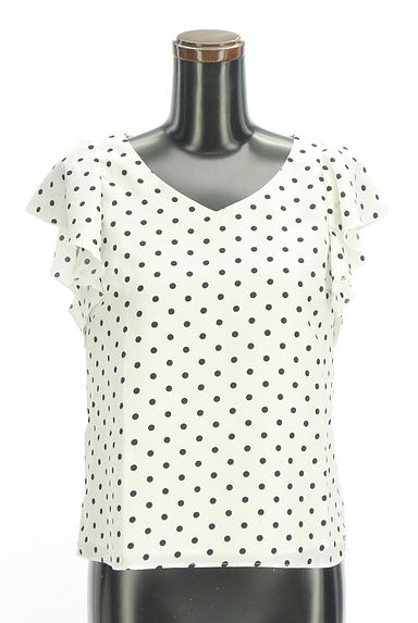 PROPORTION BODY DRESSING（プロポーションボディ ドレッシング）トップス買取実績の前画像