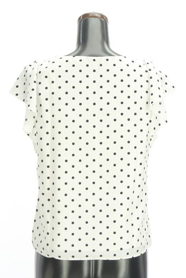 PROPORTION BODY DRESSING（プロポーションボディ ドレッシング）トップス買取実績の後画像