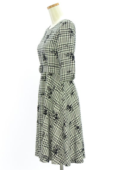 MISCH MASCH（ミッシュマッシュ）の古着「MM by MISCH MASCH 花柄フロッキープリント入りチェック柄ワンピース（ワンピース・チュニック）」大画像３へ
