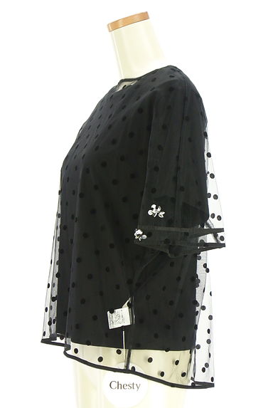 Chesty（チェスティ）の古着「半袖Tシャツ&ドット柄チュール レイヤードカットソー（カットソー・プルオーバー）」大画像３へ