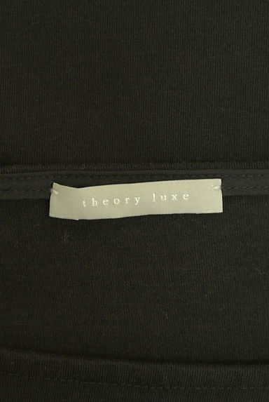 theory luxe（セオリーリュクス）の古着「ボリュームスリーブカットソー（カットソー・プルオーバー）」大画像６へ