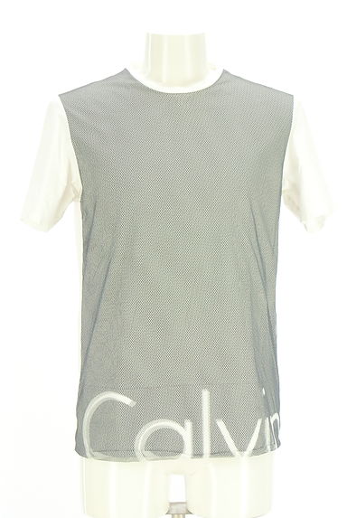 Calvin Klein（カルバンクライン）の古着「Calvin Klein PLATINUM メッシュドッキング半袖Tシャツ（Ｔシャツ）」大画像１へ