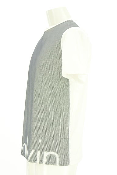 Calvin Klein（カルバンクライン）の古着「Calvin Klein PLATINUM メッシュドッキング半袖Tシャツ（Ｔシャツ）」大画像３へ