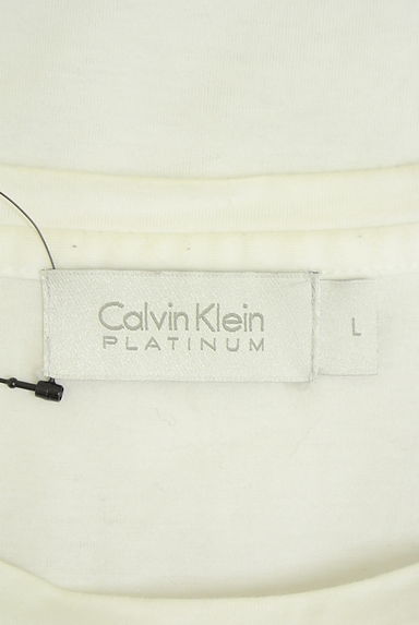 Calvin Klein（カルバンクライン）の古着「Calvin Klein PLATINUM メッシュドッキング半袖Tシャツ（Ｔシャツ）」大画像６へ