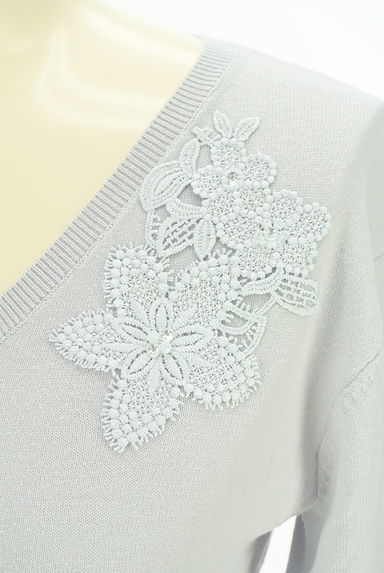 PROPORTION BODY DRESSING（プロポーションボディ ドレッシング）の古着「刺しゅうVネックニット（ニット）」大画像４へ