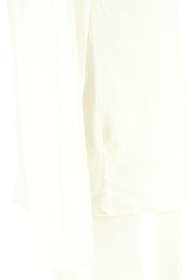 BEAMS Men's（ビームス　メンズ）の古着「BEAMS 虎刺繍ロンT（Ｔシャツ）」大画像５へ