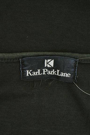 KarL Park Lane（カールパークレーン）の古着「ドット柄シフォンリボン付き半袖カットソー（カットソー・プルオーバー）」大画像６へ