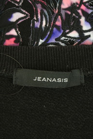 JEANASiS（ジーナシス）の古着「カットワーク刺繍ラグラントレーナー（スウェット・パーカー）」大画像６へ
