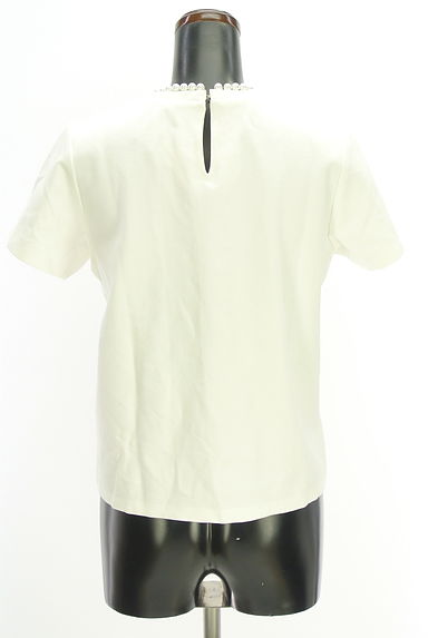 Apuweiser riche（アプワイザーリッシェ）の古着「襟パール半袖Tシャツ（Ｔシャツ）」大画像２へ