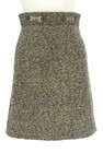 PROPORTION BODY DRESSING（プロポーションボディ ドレッシング）の古着「スカート」前