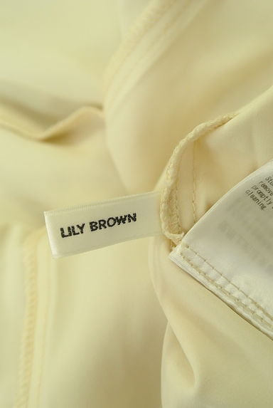 Lily Brown（リリーブラウン）の古着「半袖ツートーン刺繍レースワンピース（ワンピース・チュニック）」大画像６へ