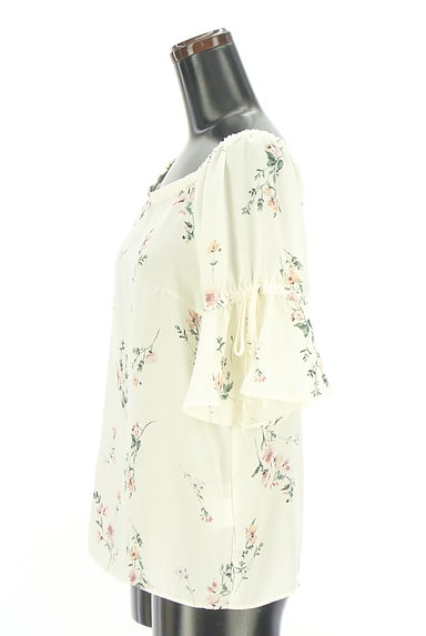 Apuweiser riche（アプワイザーリッシェ）の古着「花柄シフォンカットソー（カットソー・プルオーバー）」大画像３へ