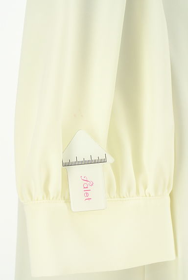NATURAL BEAUTY BASIC（ナチュラルビューティベーシック）の古着「パフスリーブ半袖カットソー（カットソー・プルオーバー）」大画像５へ