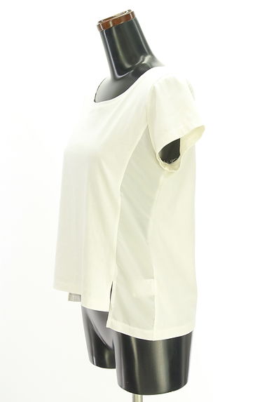 MICHEL KLEIN（ミッシェルクラン）の古着「サイド切替Tシャツ（カットソー・プルオーバー）」大画像３へ