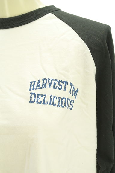 CUBE SUGAR（キューブシュガー）の古着「プリントラグランTシャツ（Ｔシャツ）」大画像４へ