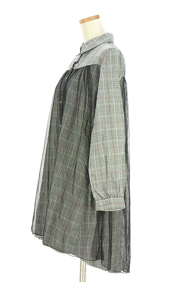 axes femme（アクシーズファム）の古着「チュール×チェック膝丈シャツワンピース（ワンピース・チュニック）」大画像３へ
