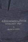 Abercrombie&Fitch（アバクロンビーアンドフィッチ）の古着「商品番号：PR10331270」-6