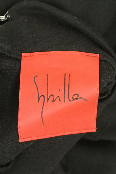 Sybilla（シビラ）の古着「ボリューム袖ハイネックウールカットソー（カットソー・プルオーバー）」大画像６へ