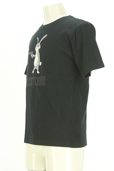 DRESSTERIOR（ドレステリア）の古着「ガンラビットプリントTシャツ（Ｔシャツ）」大画像３へ
