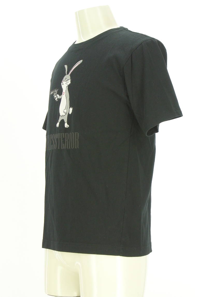 DRESSTERIOR（ドレステリア）の古着「商品番号：PR10331343」-大画像3