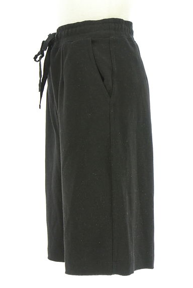 PLST（プラステ）の古着「ワンポイントストレッチハーフパンツ（ショートパンツ・ハーフパンツ）」大画像３へ