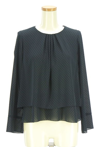 SUTSESO（スチェッソ）の古着「フロッキープリントドット柄シフォンカットソー（カットソー・プルオーバー）」大画像１へ