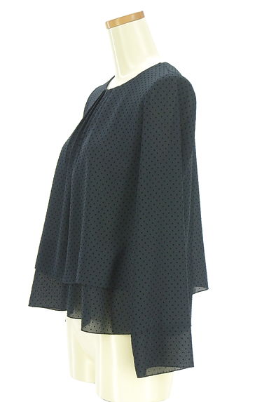SUTSESO（スチェッソ）の古着「フロッキープリントドット柄シフォンカットソー（カットソー・プルオーバー）」大画像３へ