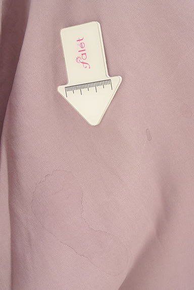 IENA（イエナ）の古着「Vネックフレンチスリーブカットソー（カットソー・プルオーバー）」大画像５へ