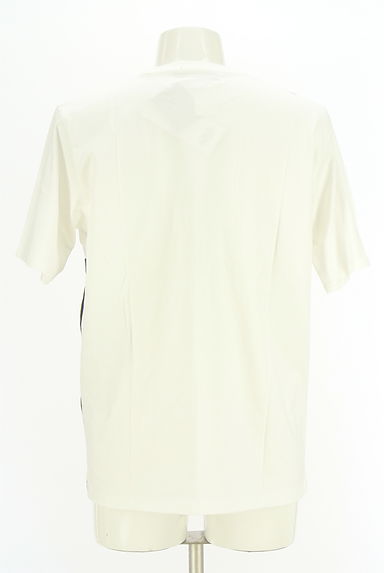 AZUL BY MOUSSY（アズールバイマウジー）の古着「配色Tシャツ（Ｔシャツ）」大画像２へ
