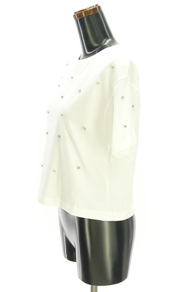 PROPORTION BODY DRESSING（プロポーションボディ ドレッシング）の古着「ビジュートッピングカットソー（カットソー・プルオーバー）」大画像３へ