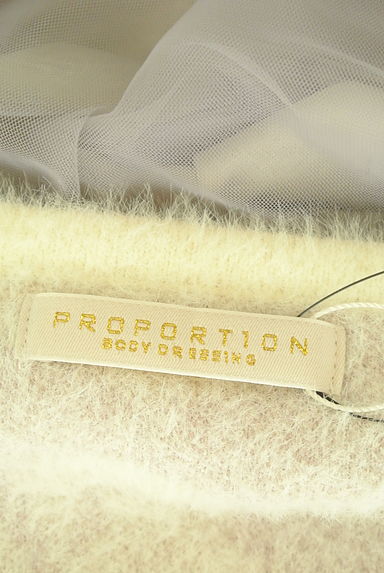PROPORTION BODY DRESSING（プロポーションボディ ドレッシング）の古着「ニット×チュール　レイヤード風ワンピース（ワンピース・チュニック）」大画像６へ