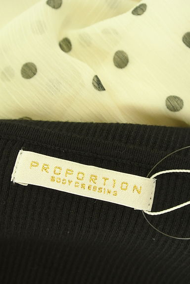 PROPORTION BODY DRESSING（プロポーションボディ ドレッシング）の古着「リブニット×ドット柄シフォンワンピース（ワンピース・チュニック）」大画像６へ