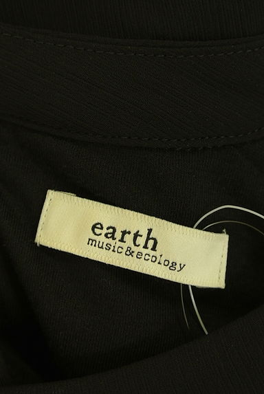 earth music&ecology（アースミュージック＆エコロジー）の古着「半袖シフォンカットソー（カットソー・プルオーバー）」大画像６へ