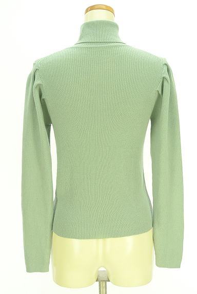 N.Natural Beauty Basic*（エヌ ナチュラルビューティーベーシック）の古着「タートルネックリブニットトップス（ニット）」大画像２へ