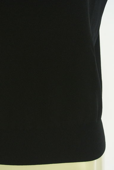 PROPORTION BODY DRESSING（プロポーションボディ ドレッシング）の古着「Vネックノースリニットトップス（ニット）」大画像５へ