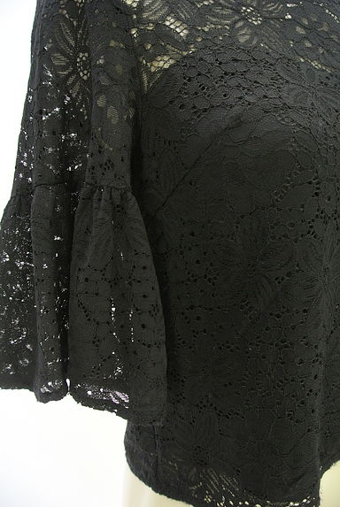 ROYAL PARTY（ロイヤルパーティ）の古着「7分袖総レースカットソー（カットソー・プルオーバー）」大画像５へ