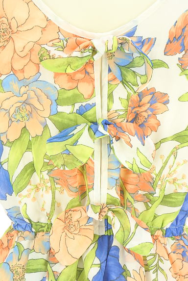 MERCURYDUO（マーキュリーデュオ）の古着「花柄シフォンミニワンピース（キャミワンピース）」大画像５へ
