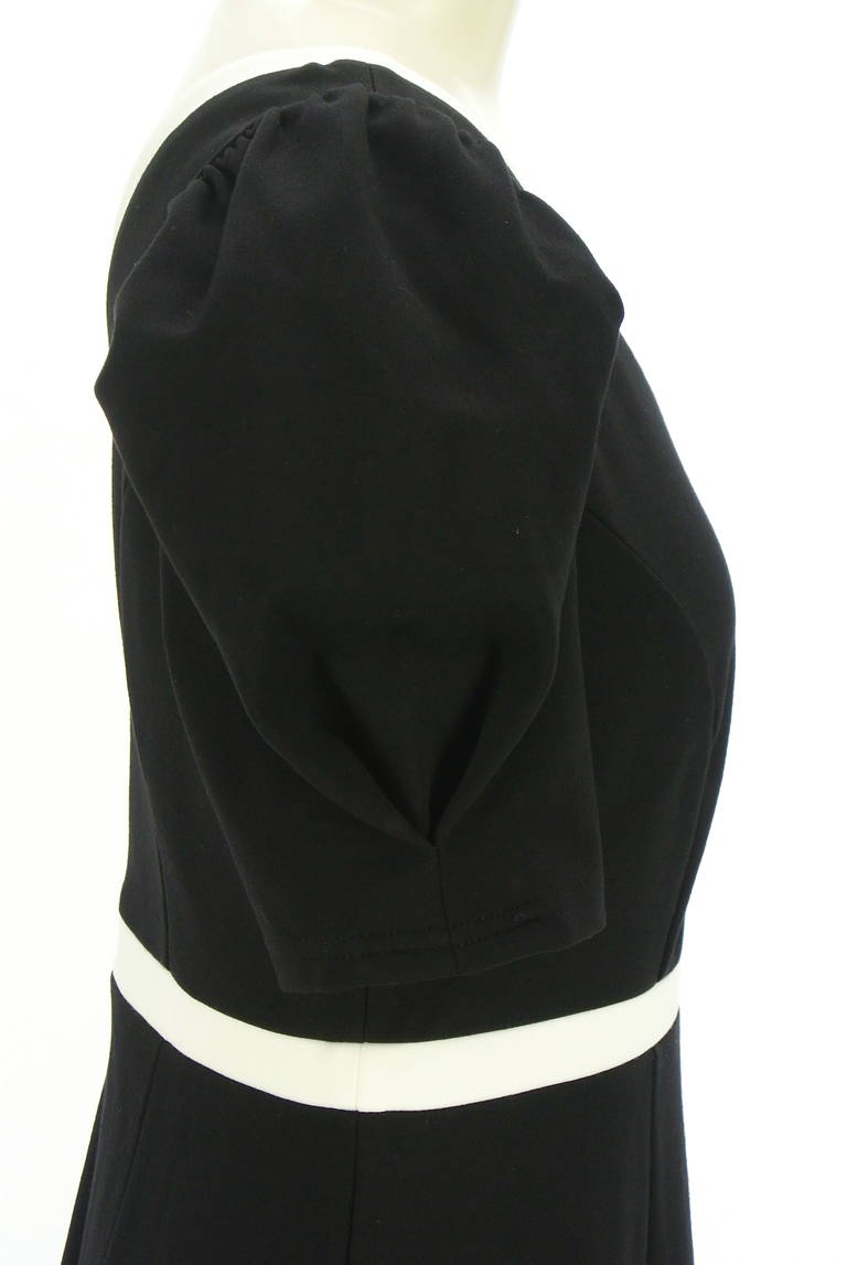 Her lip to（ハーリップトゥ）の古着「商品番号：PR10333621」-大画像5