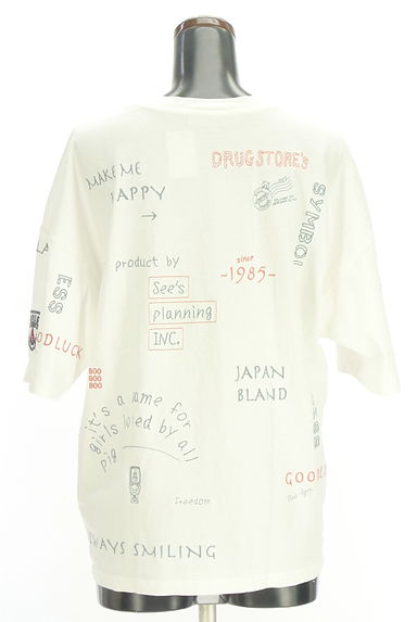 drug store's（ドラッグストアーズ）の古着「ロゴ刺繍半袖Tシャツ（カットソー・プルオーバー）」大画像２へ