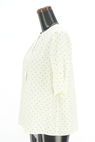 anySiS（エニィスィス）の古着「ドットシフォンブラウス（カットソー・プルオーバー）」大画像３へ