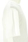 theory（セオリー）の古着「商品番号：PR10334428」-5