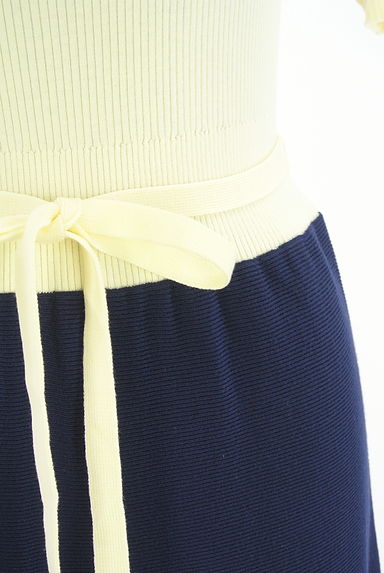 PROPORTION BODY DRESSING（プロポーションボディドレッシング）の古着「袖花刺繍バイカラーリブニットワンピース（ワンピース・チュニック）」大画像５へ