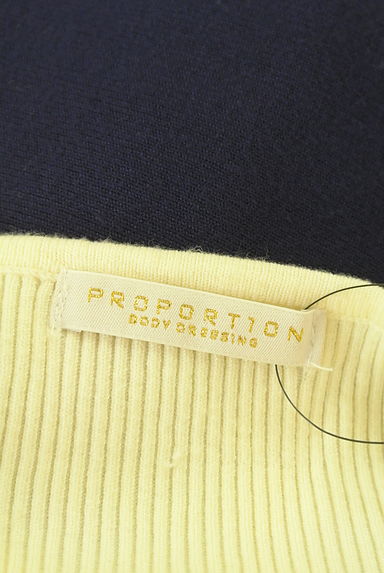 PROPORTION BODY DRESSING（プロポーションボディドレッシング）の古着「袖花刺繍バイカラーリブニットワンピース（ワンピース・チュニック）」大画像６へ