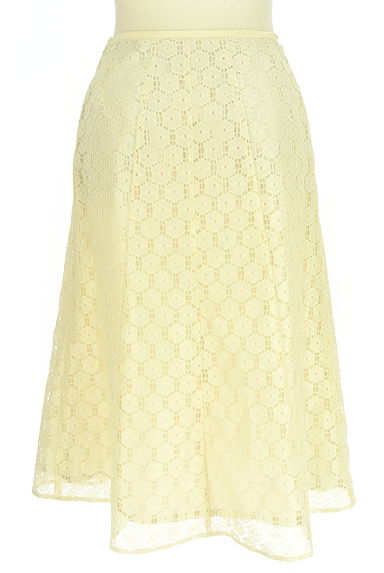 クリックで大画像表示 GIANNI LO GIUDICE(ジャンニロジュディチェ)の古着「総レースミモレスカート(スカート)」大画像2へ