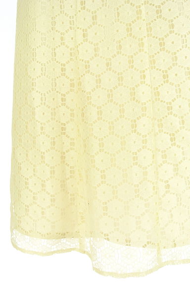 クリックで大画像表示 GIANNI LO GIUDICE(ジャンニロジュディチェ)の古着「総レースミモレスカート(スカート)」大画像5へ