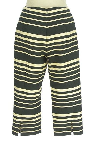 Sybilla（シビラ）の古着「ボーダークロップドパンツ（パンツ）」大画像２へ